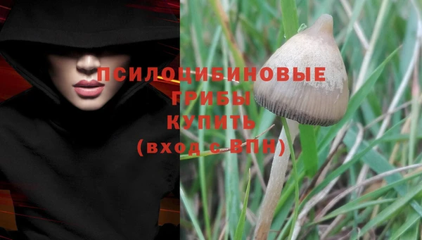 apvp Семёнов