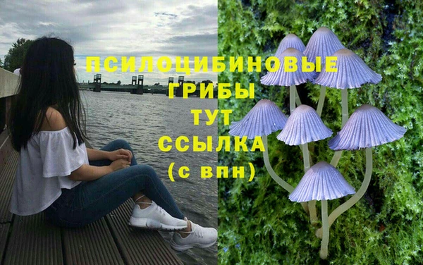 дурь Семикаракорск