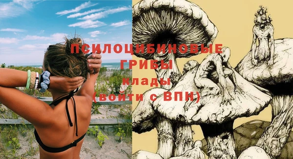 дурь Семикаракорск