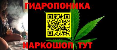 a pvp Гусь-Хрустальный