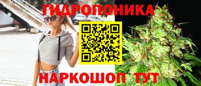 a pvp Гусь-Хрустальный