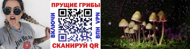 Псилоцибиновые грибы ЛСД Керчь
