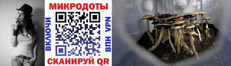 Псилоцибиновые грибы Psilocybe  Керчь 