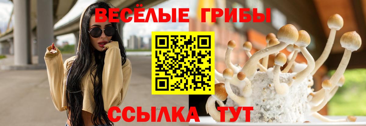 Галлюциногенные грибы GOLDEN TEACHER Керчь